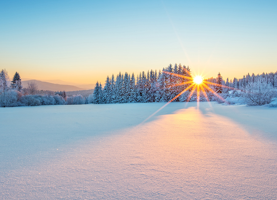 winterartikel Winterartikel von Bevermann