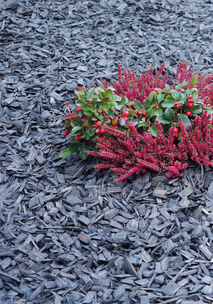 Bevermann Premium Holzdekor – grau