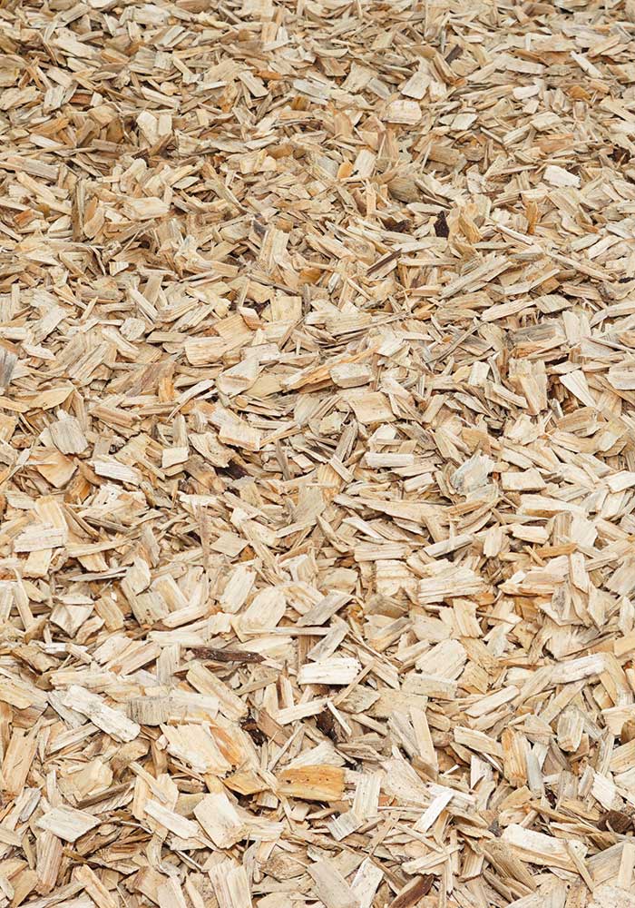Foto vom Material: Premium Holzdekor Natur aus Nadelholz von Bevermann